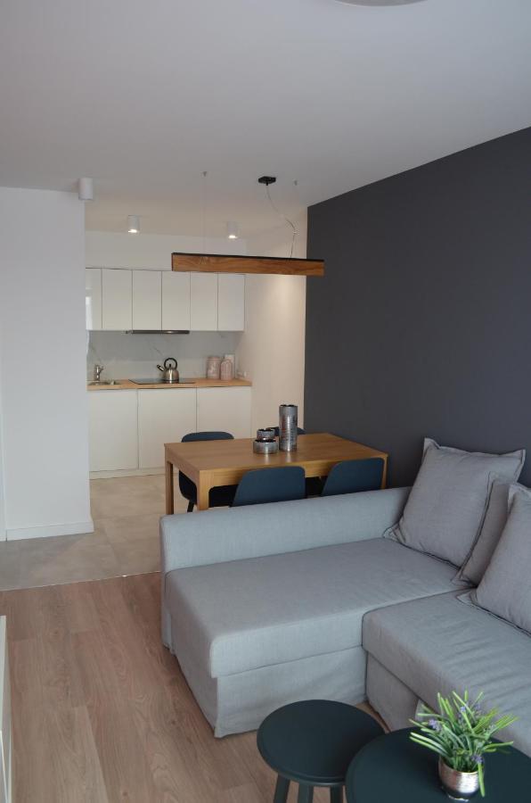 V3 Sokolska 33 Apartment Katowice Ngoại thất bức ảnh